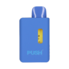 PUSH PENS